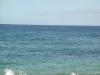 Dolphins 4_thumb.jpg 1.8K